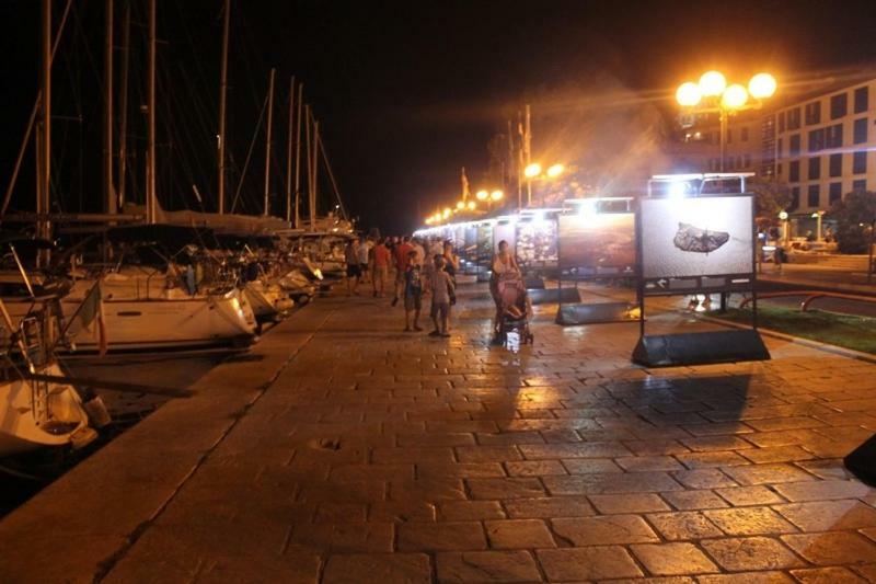 Duje & Roko Apartments Šibenik Eksteriør billede